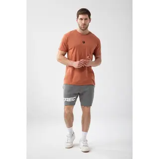 Brązowy T-shirt męski BASIC TSHIRT 150 T BROWN - S