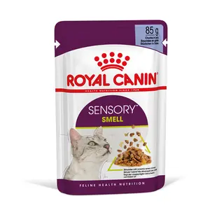 Royal Canin Sensory Smell w galarecie - 12 x 85 g