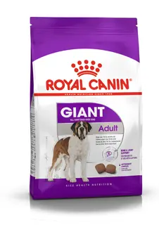 ROYAL CANIN Giant Adult karma sucha dla psów dorosłych, od 18/24 miesiąca życia, ras olbrzymich