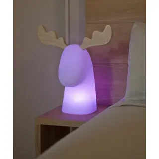 Lampa zewnętrzna RUDY 3139