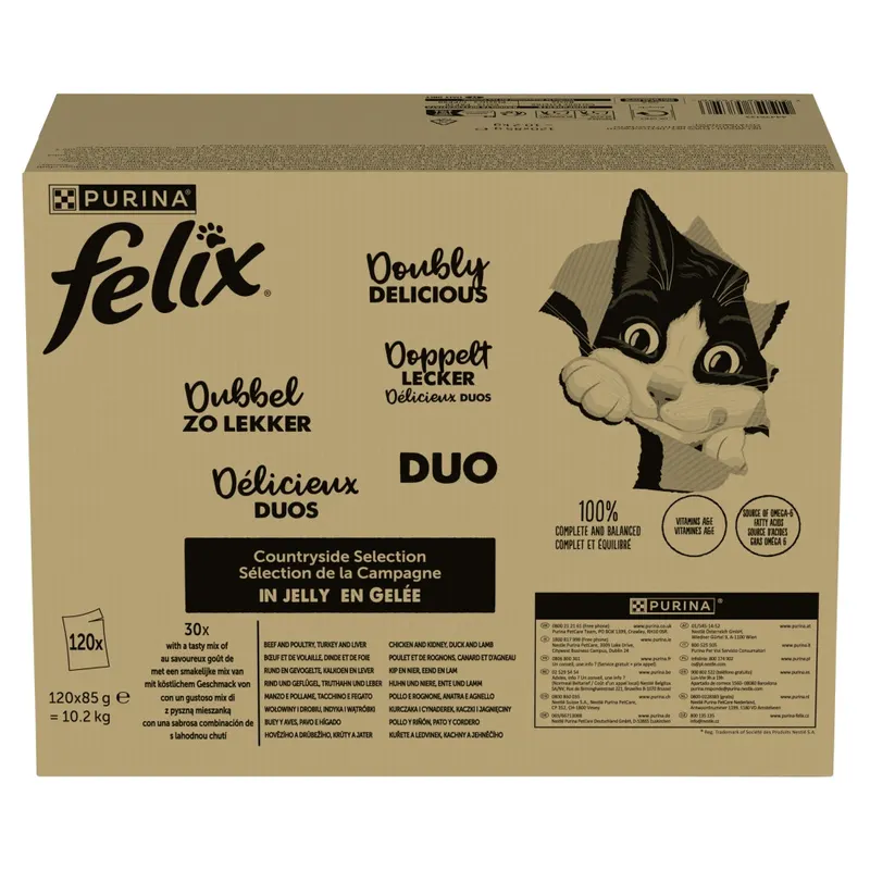 PURINA Felix Fantastic Duo Mix Wiejskie smaki Box - mokra karma dla kota - 120x85g