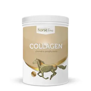 HorseLinePRO Collagen 800g Kolagen dla koni