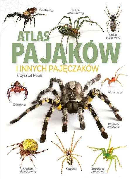ATLAS PAJĄKÓW. I INNYCH PAJĘCZAKÓW - Krzysztof Pabis