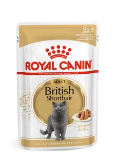 ROYAL CANIN FBN British Shorthair Adult Box - mokra karma dla dorosłego kota - 12x85 g