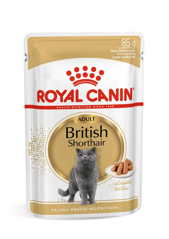ROYAL CANIN FBN British Shorthair Adult Box - mokra karma dla dorosłego kota - 12x85 g