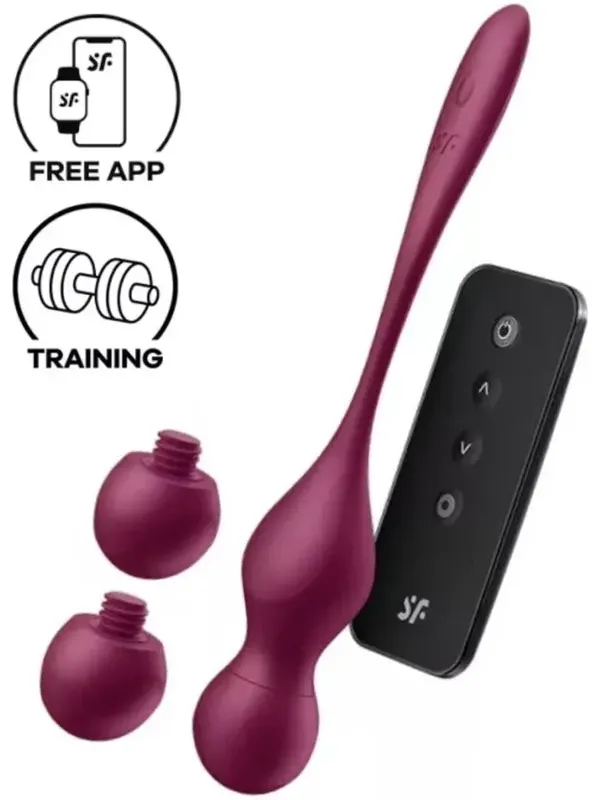 Satisfyer Love Birds Vary Connect App