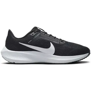 Pegasus 40