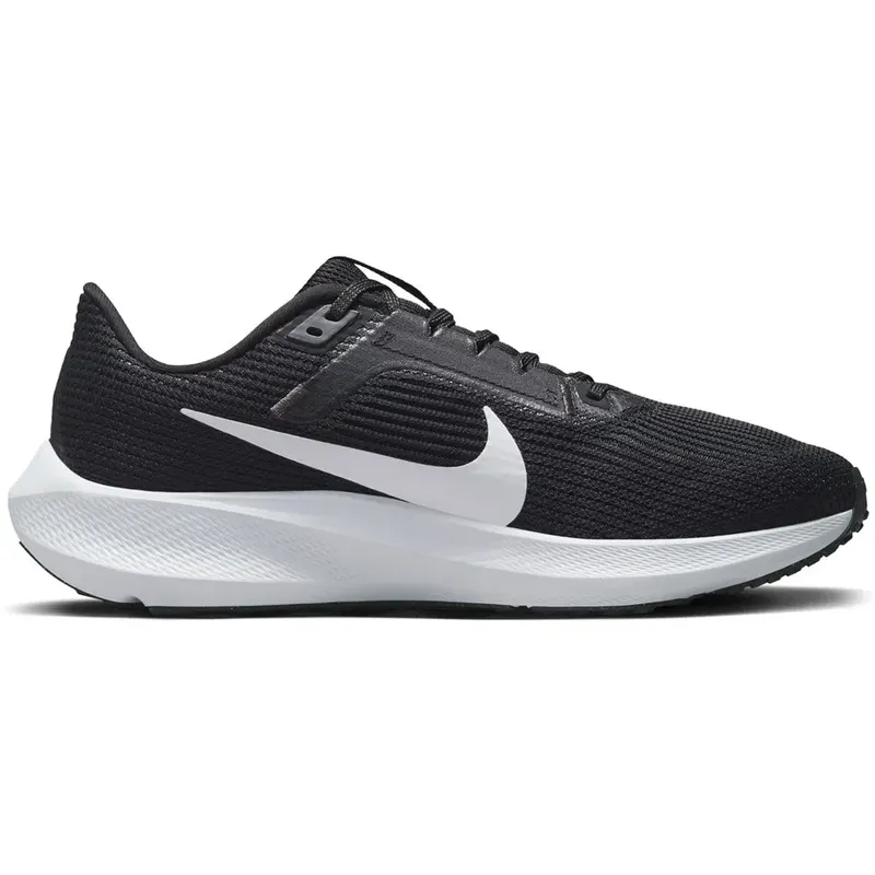 Pegasus 40