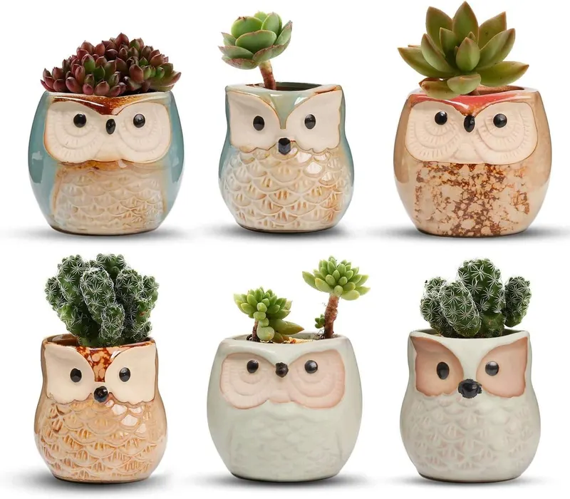 Ceramiczne doniczki z sową, zielone, 6 szt. 6,5 cm, z drenażem