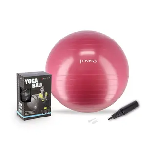 Piłka gimnastyczna z pompką HMS YB01 Plum 65 cm - śliwka