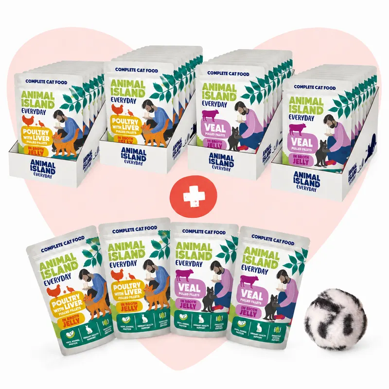 ANIMAL ISLAND Love Box Filety w galarecie Box + zabawka - mokra karma dla kota - 48x85g