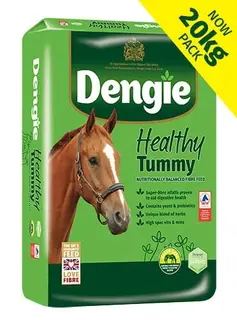 Sieczka dla koni DENGIE Healthy Tummy na układ pokarmowy wrzody 20kg