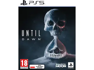 Gra PS5 Until Dawn