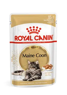 Royal Canin FBN Maine Coon Adult Box - mokra karma dla dorosłego kota - 12x85 g