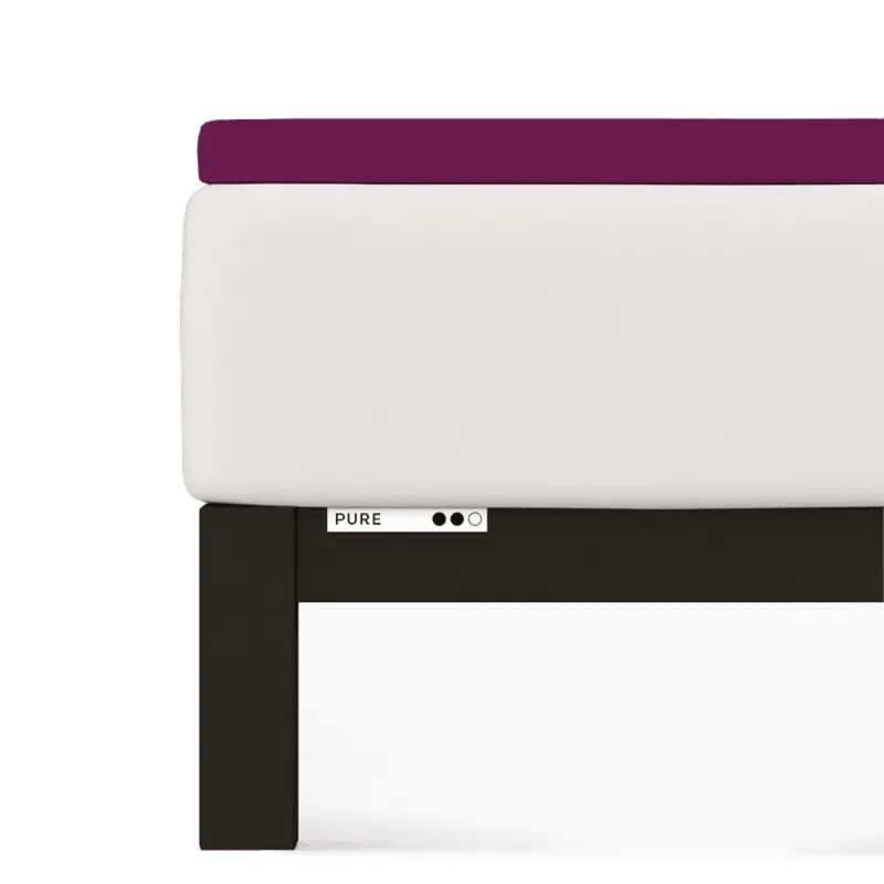 Prześcieradło Schlafgut Pure Topper | 90x190-100x220 cm | Purple Deep | -100x22 Purple Deep 542 - S bawełna