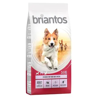 Briantos Adult, łosoś i ryż - 14 kg