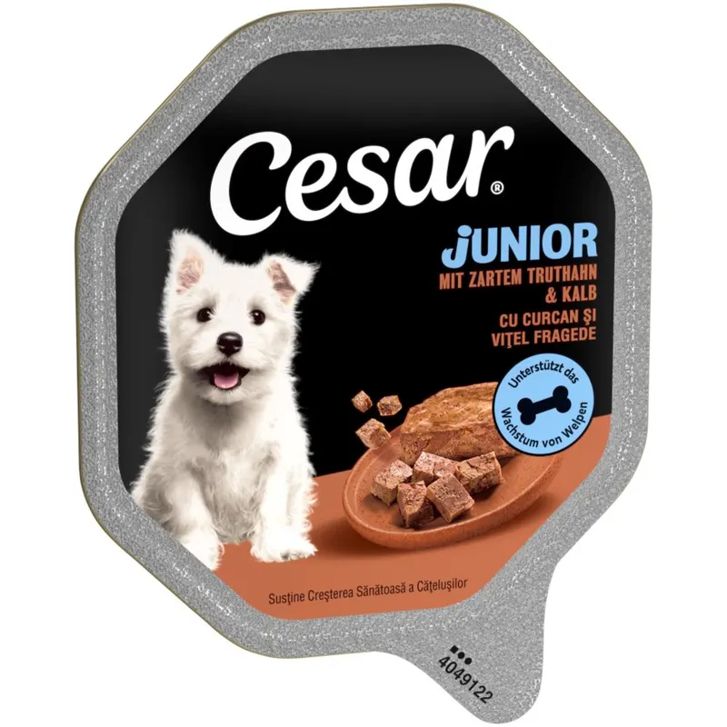 Cesar Junior w tackach, 14 x 150 g - Indyk i cielęcina