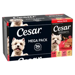 Megapakiet Cesar w tackach, 24 x 150 g - Classic Terrine Mix, 24 x 150 g