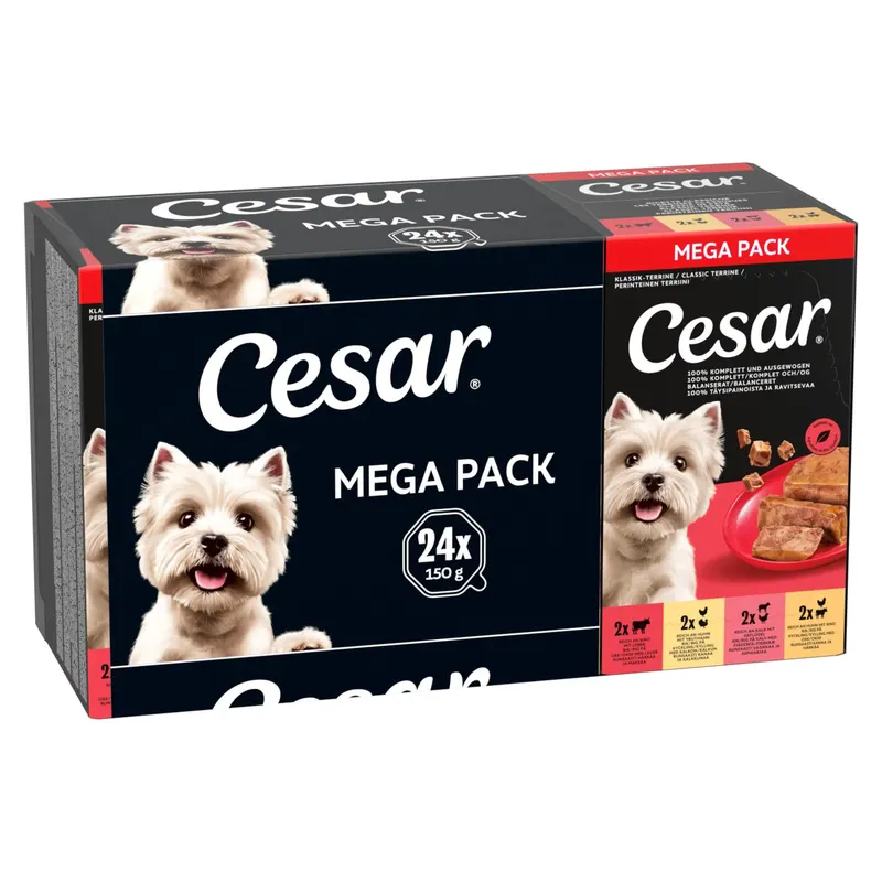 Megapakiet Cesar w tackach, 24 x 150 g - Classic Terrine Mix, 24 x 150 g