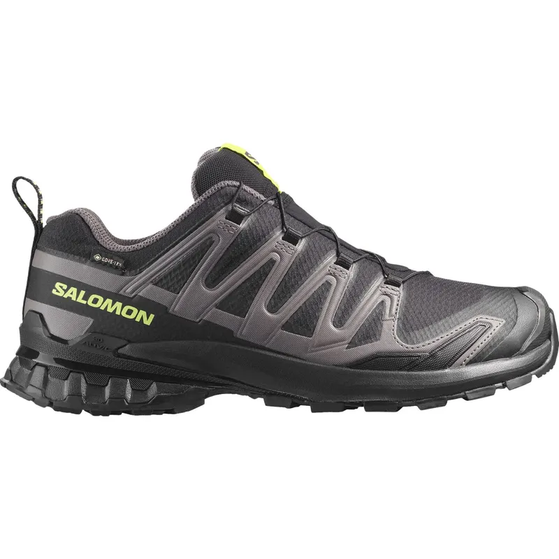 Salomon XA PRO 3D V9 GTX, buty trailowe, męskie, czarny/zielony