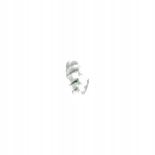 Formy do ciast jesienne Autumn cake molds part1