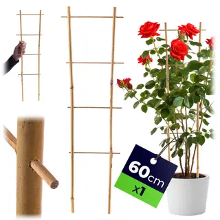Drabinka bambusowa do roślin 60 cm 1 szt.