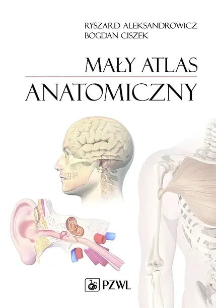 MAŁY ATLAS ANATOMICZNY - Ryszard Aleksandrowicz