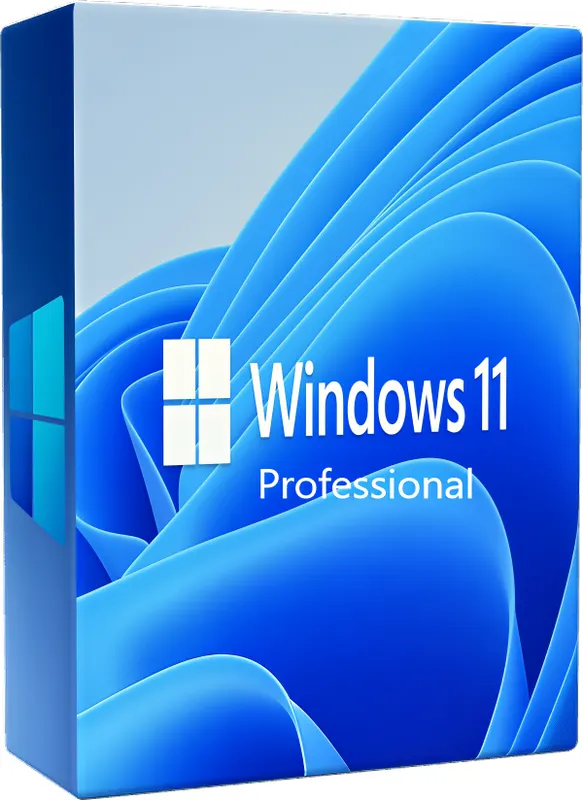 Microsoft Windows 11 Professional