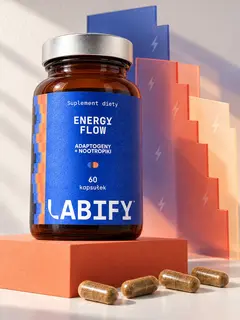 Energy Power+ (dawniej: Energy Flow)