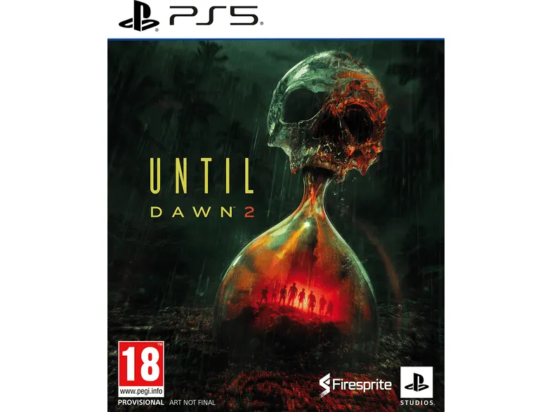 Gra PS5 PLAYSTATION Until Dawn 2