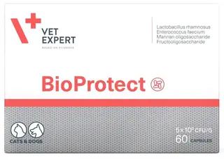 VETEXPERT BIOPROTECT 60 KAPSUŁKA