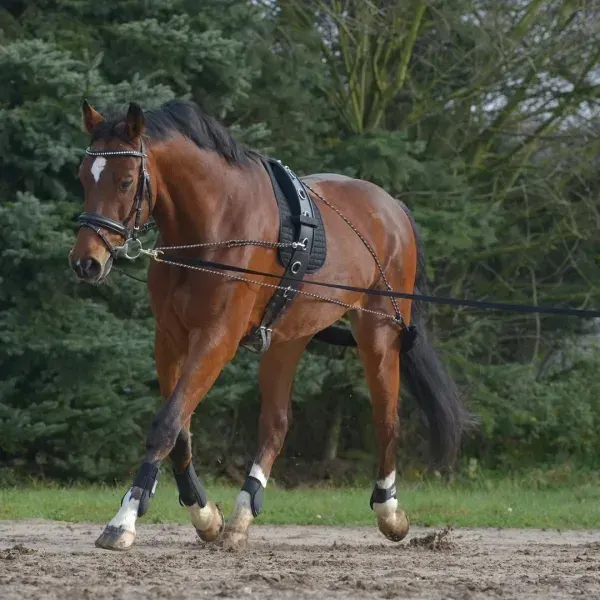 Pomoc do lonzowania Waldhausen Pessoa pony/cob