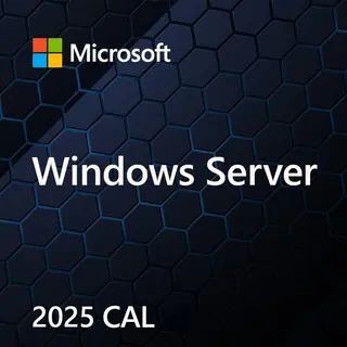 Microsoft OEM Win Svr CAL 2025 Device PL 1Clt EP2-25232