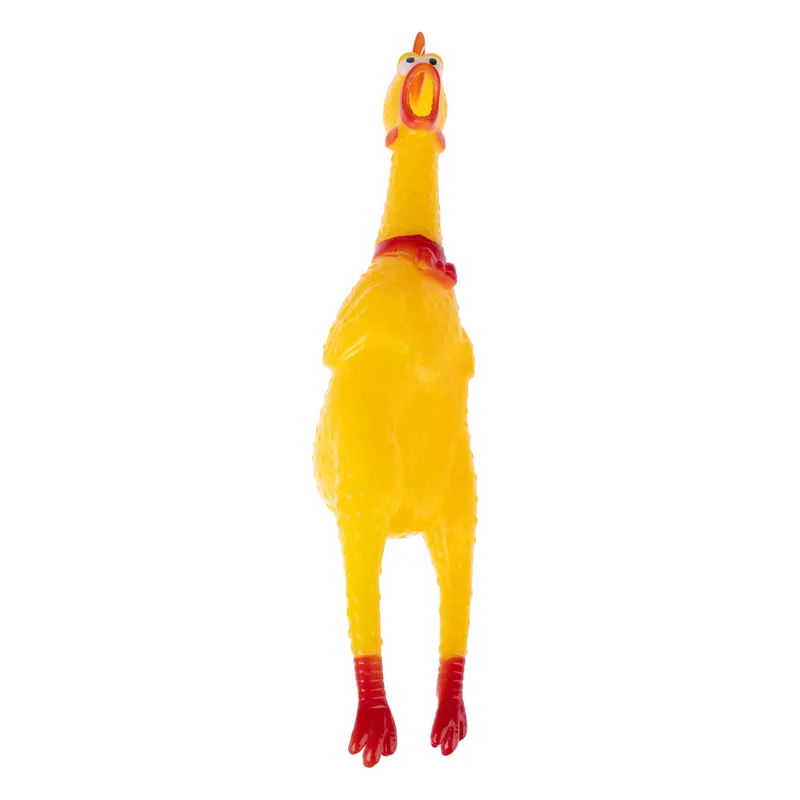 zooplus Basics piszczący kurczak - Rozmiar M (dł. x szer. x wys.): 30 x 7 x 6,5 cm