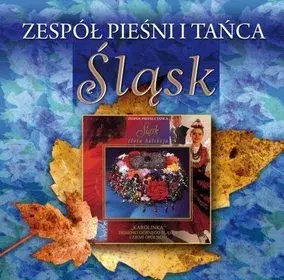Złota kolekcja: Śląsk. Volume 1
