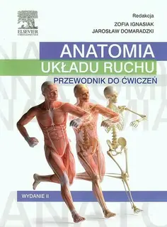 ANATOMIA UKŁADU RUCHU PRZEWODNIK DO ĆWICZEŃ - Ignasiak Zofia, Domaradzki Jarosław
