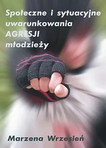 Społeczne i sytuacyjne uwarunkowania agresji młodzieży - ebook epub
