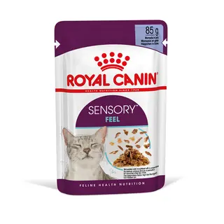 Royal Canin Sensory Feel w galarecie - 12 x 85 g