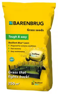 Trawa odporna na suszę Barenbrug Resilent Blue Lawn 5kg