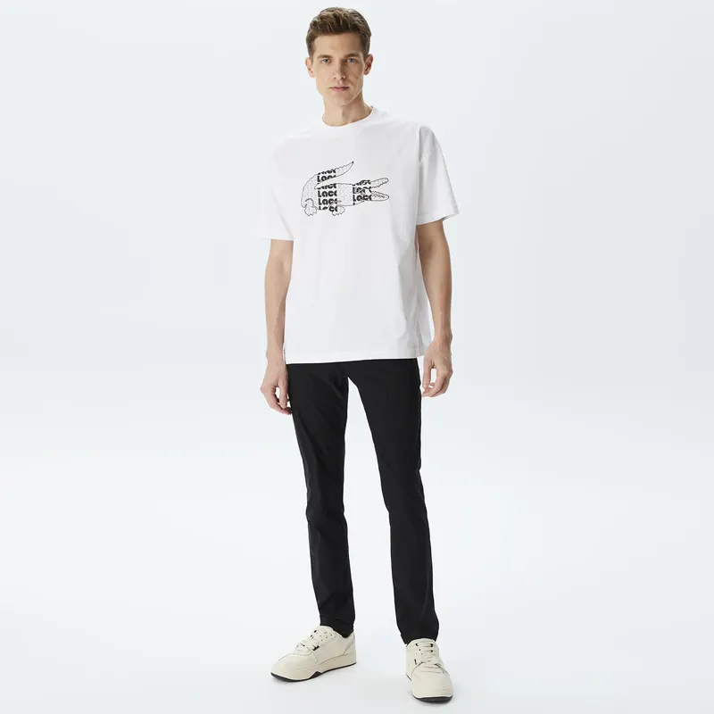 Lacoste Spodnie Męskie Kolorowy
