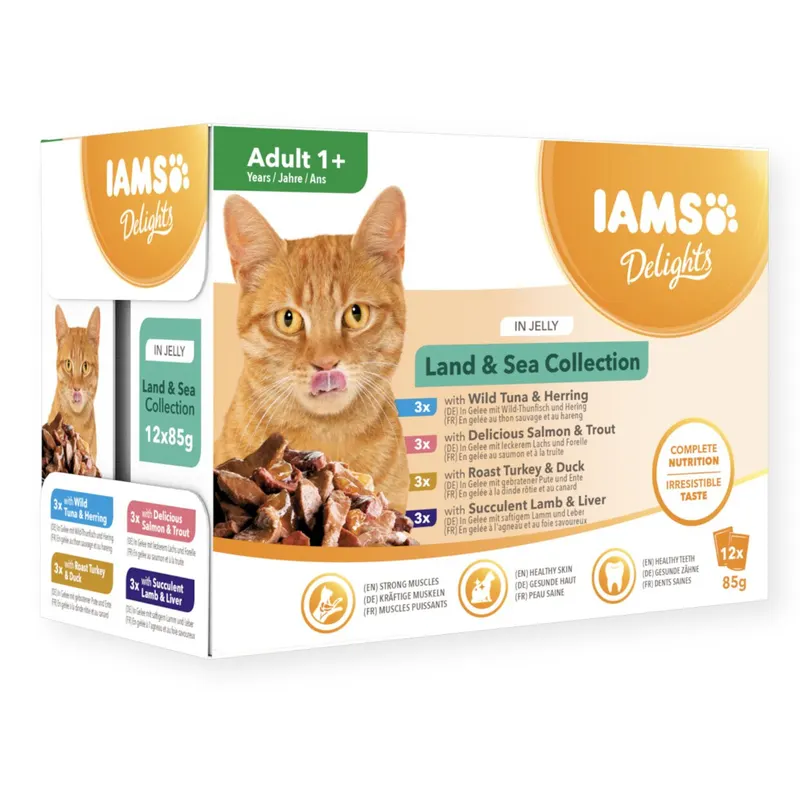 IAMS DELIGHTS Land & Sea Collection in Jelly box – mokra karma dla kota – 12x85g