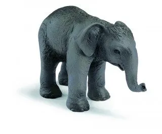 Schleich, figurka Słoń Indyjski mały, 14655