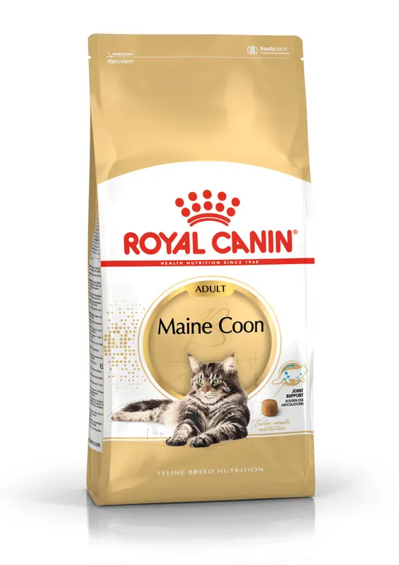 Royal Canin FBN Maine Coon Adult - sucha karma dla kota dorosłego - 10 kg