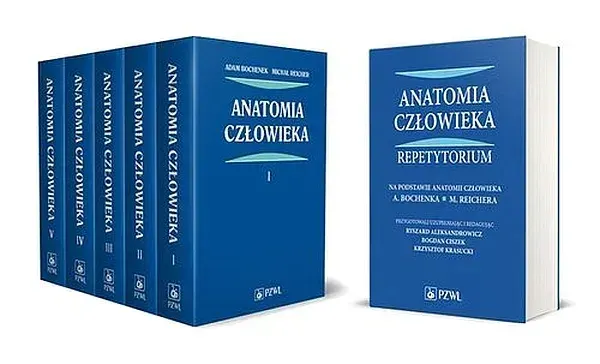 ANATOMIA CZŁOWIEKA 1-5 PLUS REPETYTORIUM - Bochenek Adam, Reicher Michał, Aleksandrowicz Ryszard, Ciszek Bogdan, Krasucki Krzysztof