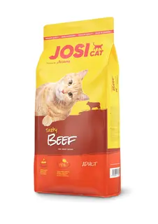 JOSERA JosiCat Tasty Beef - sucha karma dla kota - 10 kg