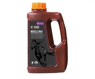 FORAN, Muscle-Max  suplement wspomagający zdrowie, regenerację mieśni, 2,5L