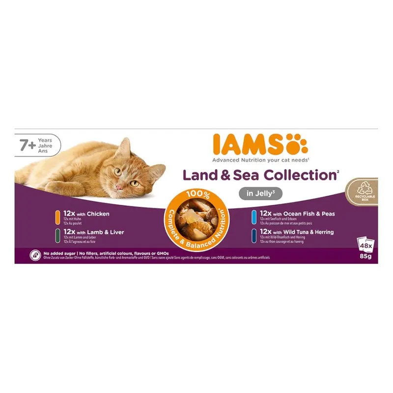 IAMS Senior Meat & Fish Mix in Jelly box – mokra karma dla kota – 48x85g
