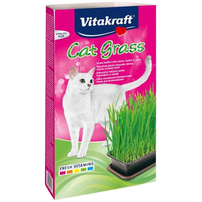VITAKRAFT Cat Grass - zestaw dla kota - 120 g