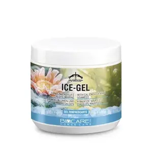 Żel chłodzący dla koni VEREDUS Ice Gel 500ml