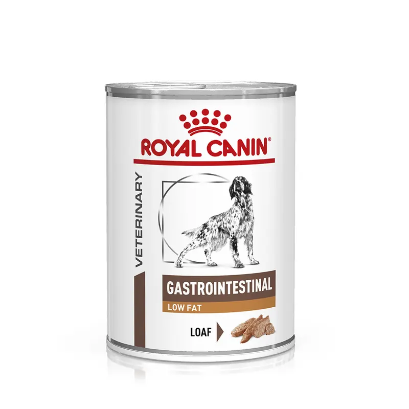 Royal Canin Veterinary Canine Gastrointestinal Low Fat, mus - 12 x 420 g